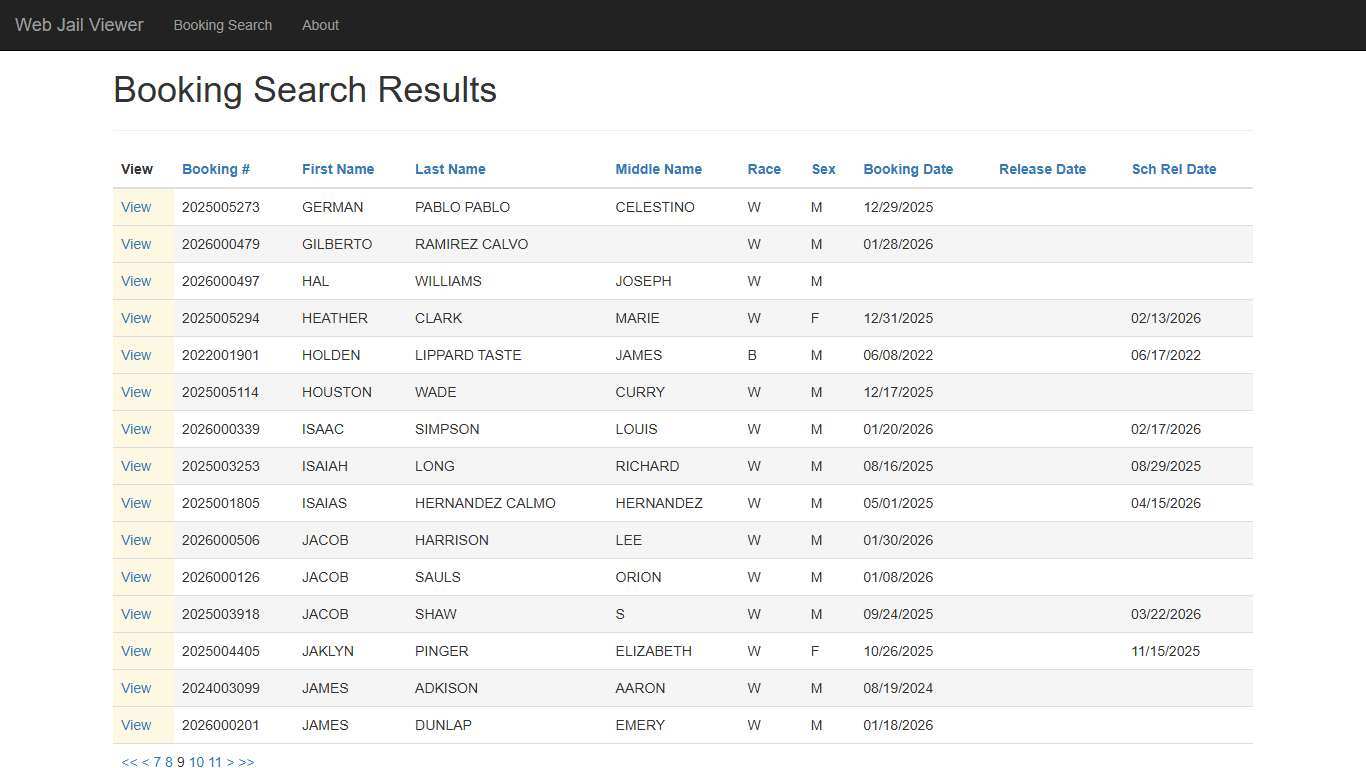 BookingSearchDetail - Web Jail Viewer